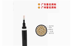 NH-KVV- 450/750V控制電纜 NH-KVV- 450/750V控制電纜